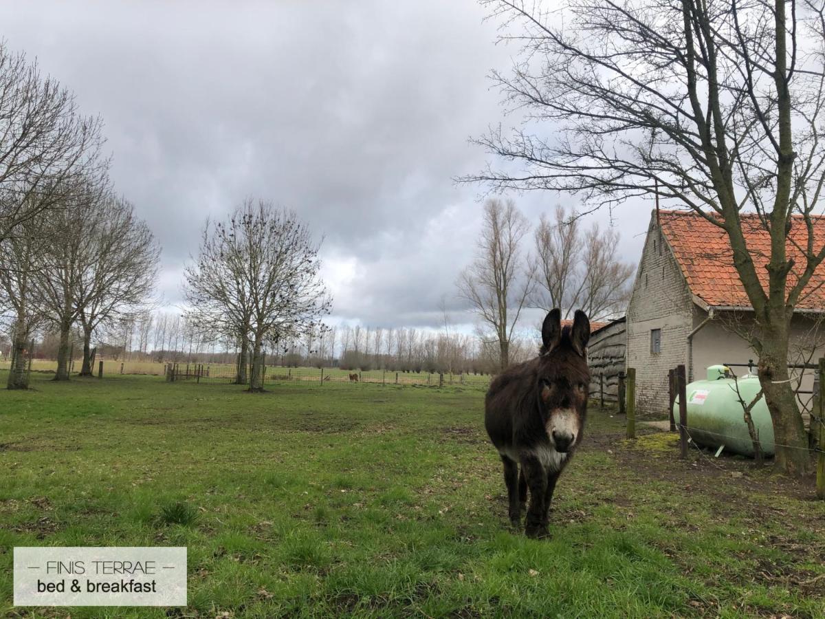 Appartement Aan Puyenbroeck Wachtebeke Esterno foto